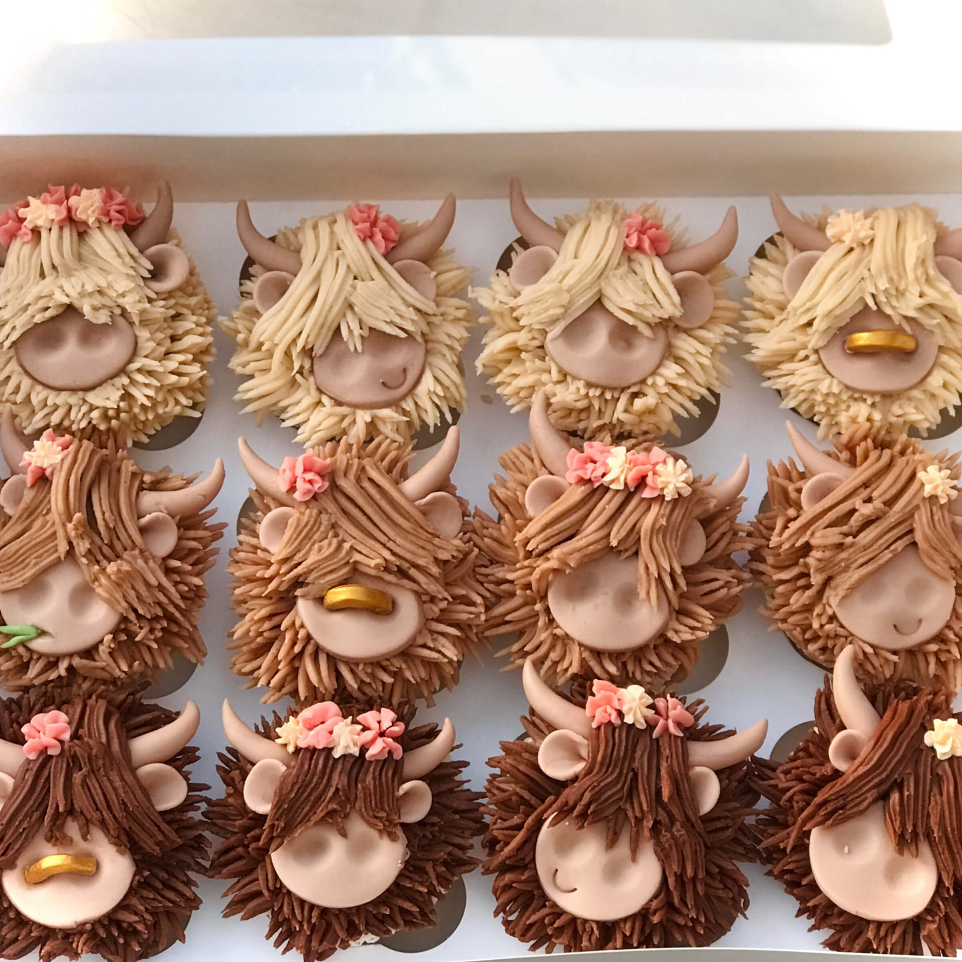 Highland cow cupcakes with piped buttercream fur and sugar flowers